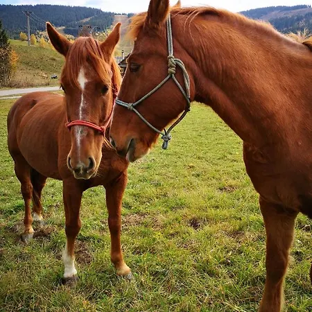 דירה Podkrovny Attic 32