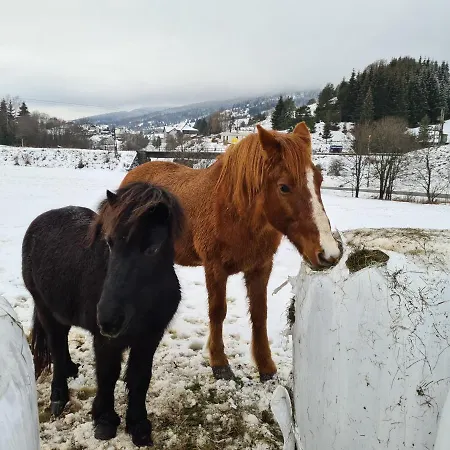 Podkrovny Attic 32 *